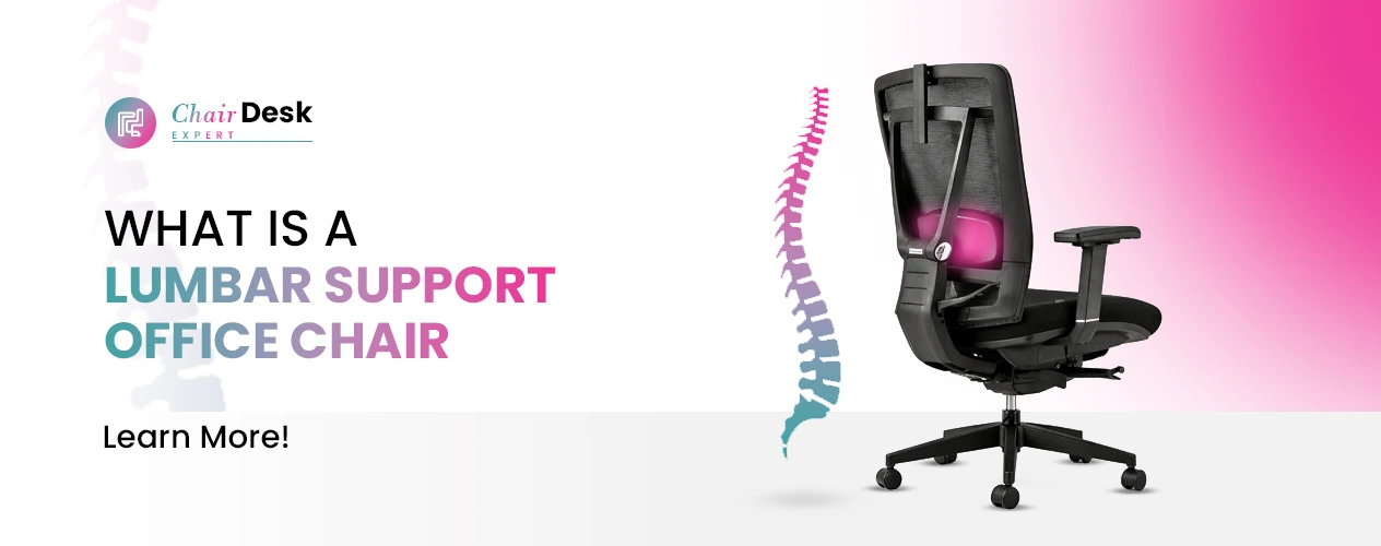 What is Lumbar Support Office Chair? (And Why Your Chair Needs It)
