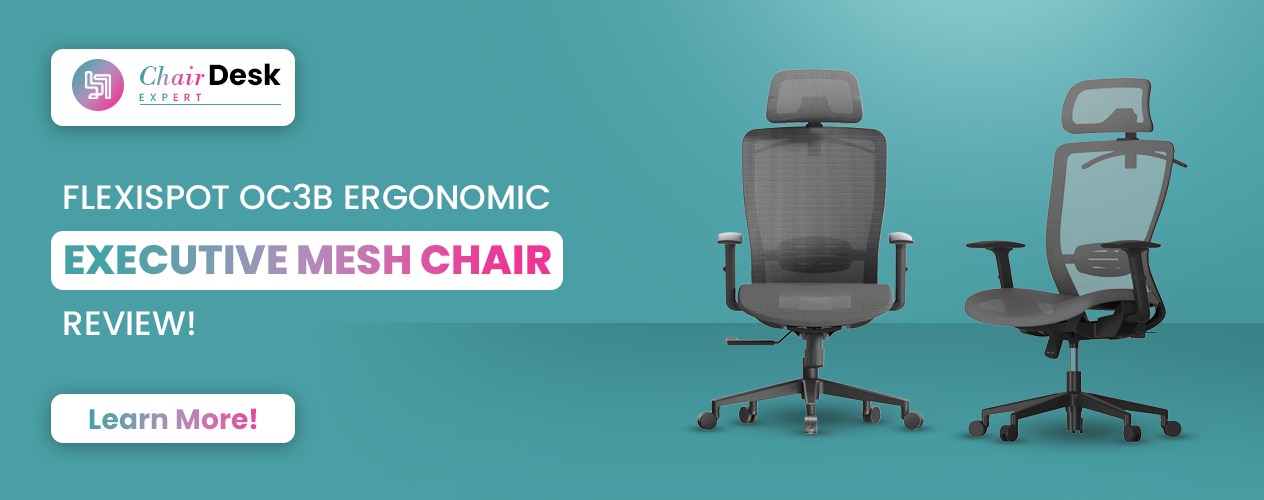 Flexispot OC3B Ergonomic Executive Mesh Chair Review