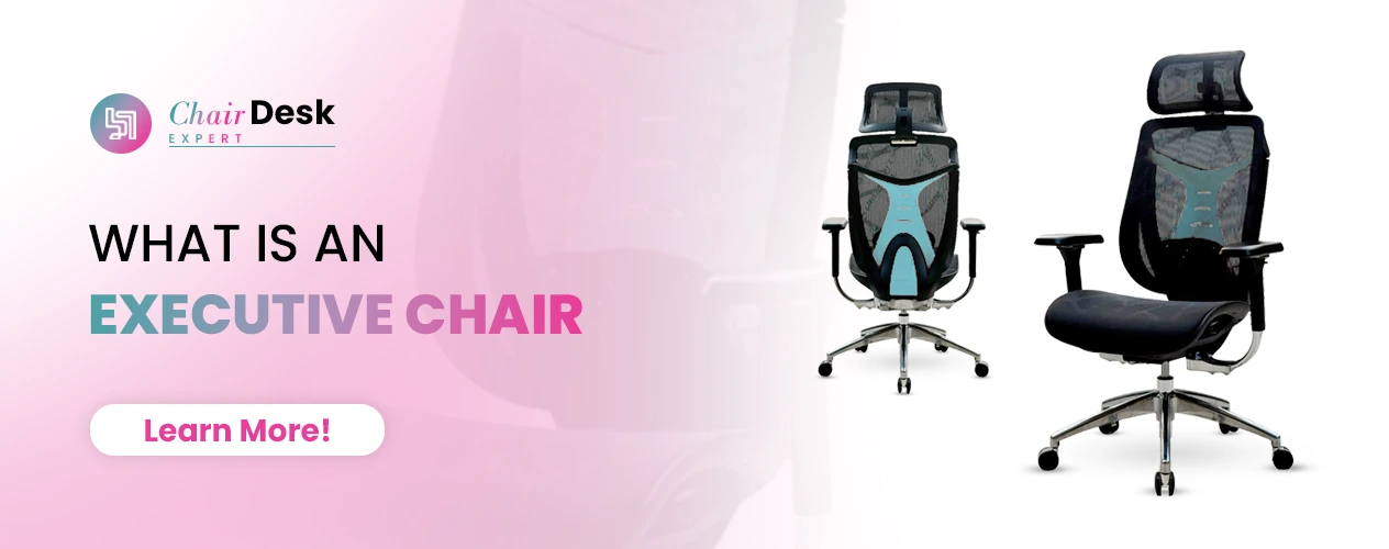 What is an Executive Chair (Reveal) Your Gateway to Comfort!