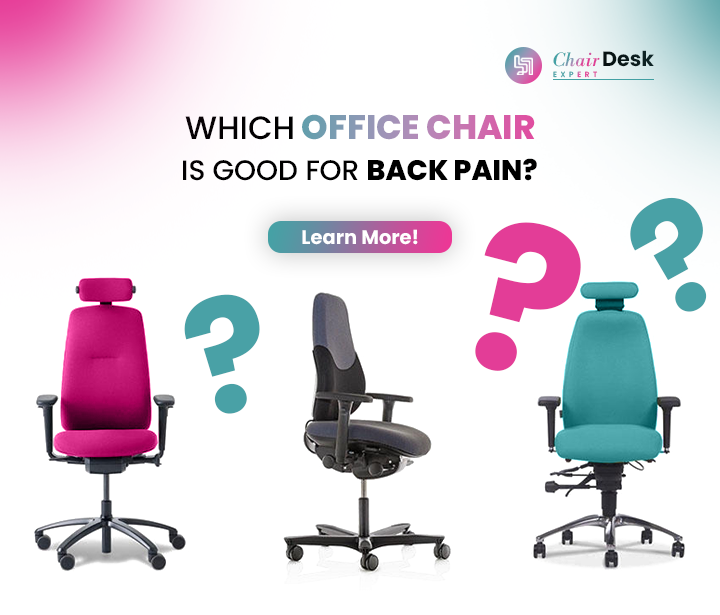 Pain-Free Seating: Which Office Chair Is Good For Back Pain