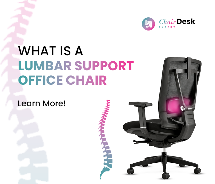 What is Lumbar Support Office Chair? (And Why Your Chair Needs It)