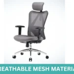 Ergonomic Office Chair，Mesh Seat Cushion with 3D Armrests
