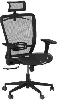 FLEXISPOT Ergonomic Office Chair, High Back Mesh Computer Chair